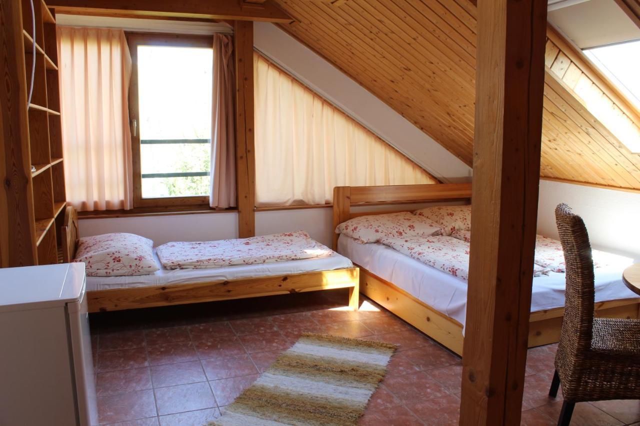 Apartament Vicze Vendeghaz Siófok